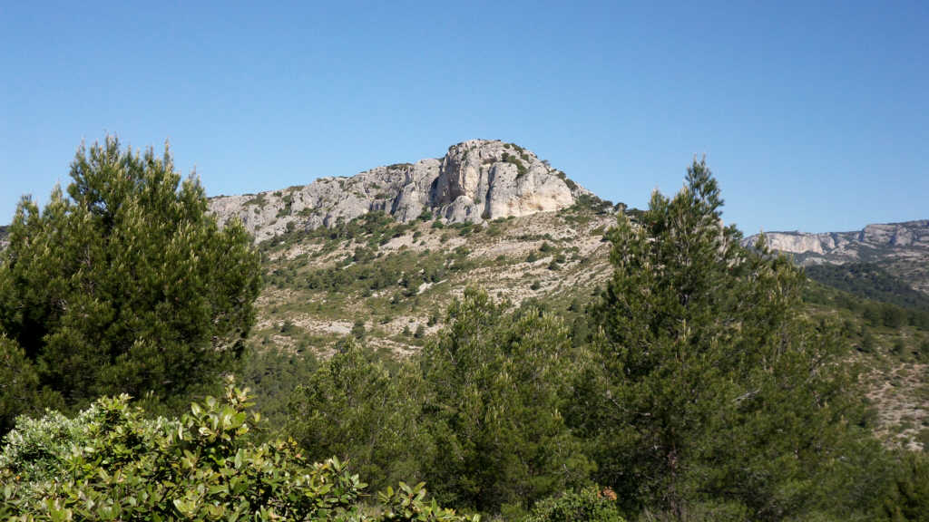 cycle tube tyre price